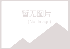 兴山区空梦会计有限公司